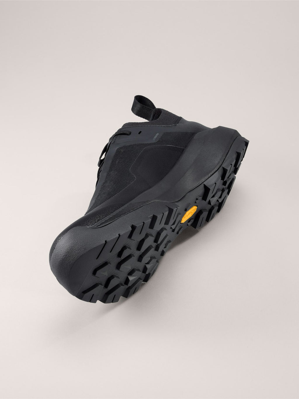 VERTEX ALPINE GTX SHOE MEN'S